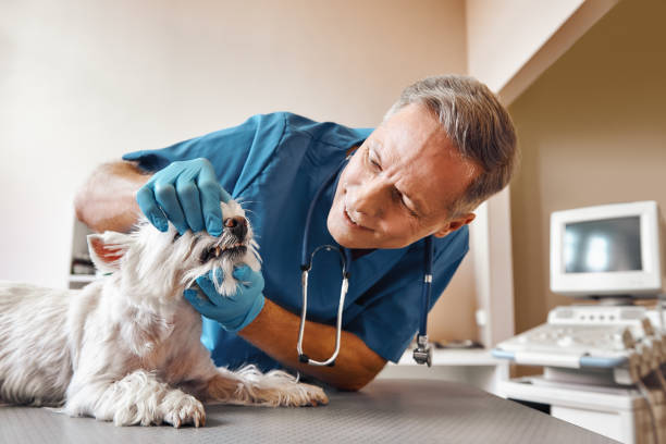 Best Tooth Infection Emergency Dentist  in Azle, TX